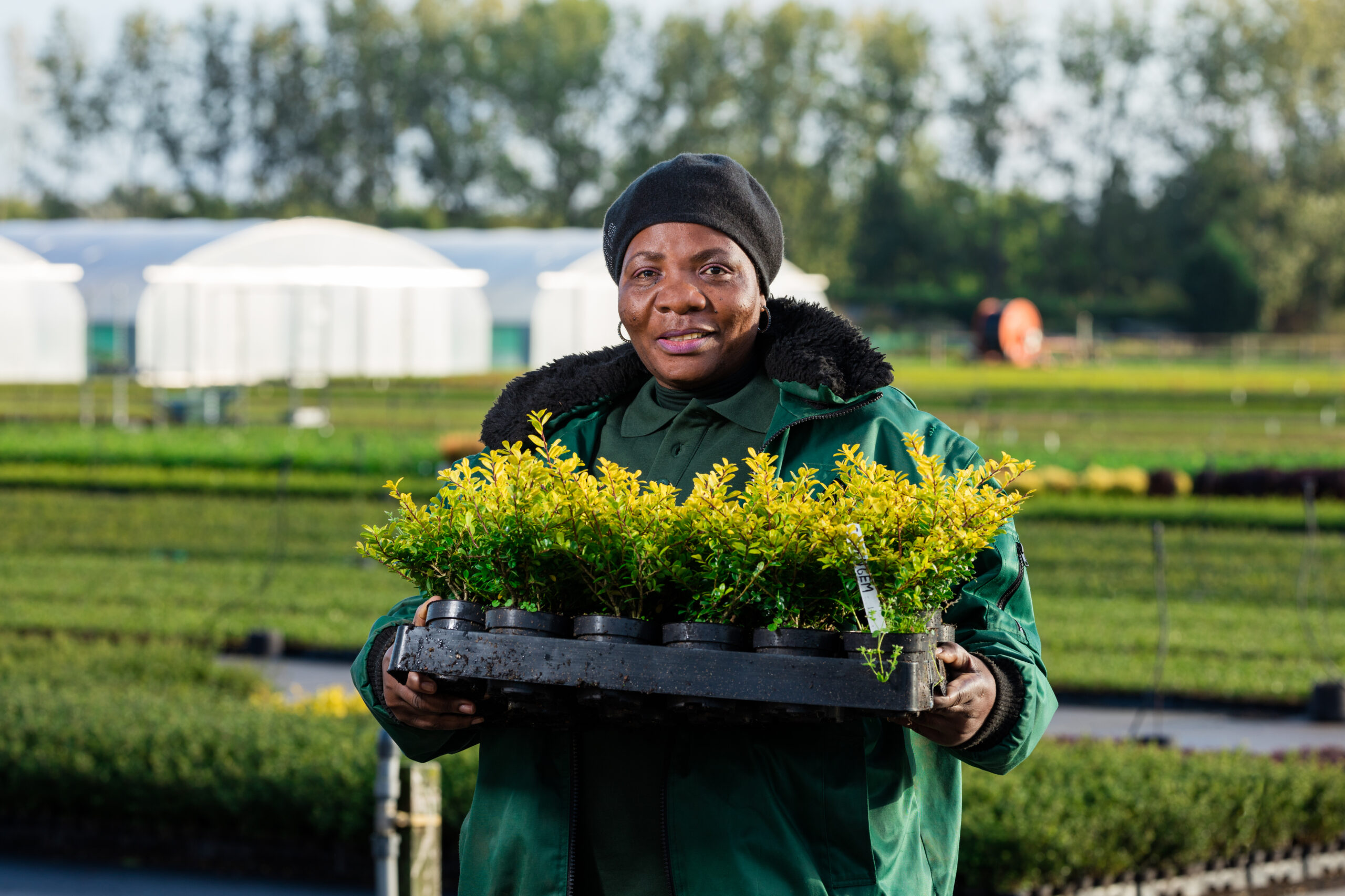 Ergon Kwekerij-medewerkster staat met een tray vol plantjes in haar handen buiten op het containerveld van de kwekerij.